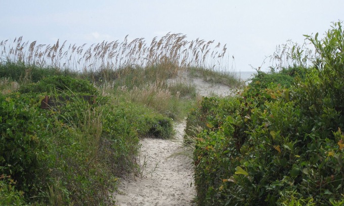 Hilton Head Island Villa | Hilton Head Beach Villa- Beachfront property with great privacy