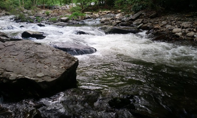 Robbinsville Cabin | Hippie hideaway on US 129 the DRAGON 🐲 w/firepit-grill 2 hammocks ;)