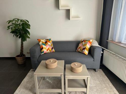 Kunstenkwartier Apartment | Hippolyte Metdepenningenstraat