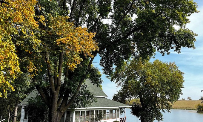 Annandale Other | Historic Century Old Farmhouse on 80 Acres; Privacy, Walking Trails and Nature!