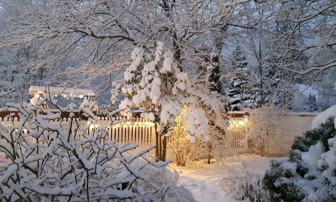 Old Town Historic District Bed & Breakfast | Historic Wilson-Guy House