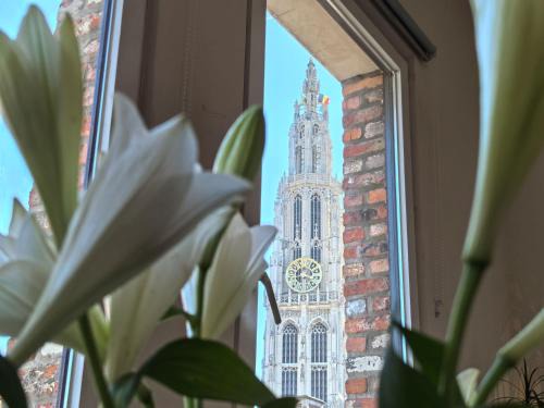 Historisch centrum Apartment | Historical center Antwerp, all on foot