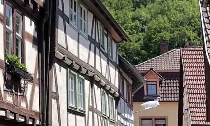 Weinheim House | Historical half-timbered house/accommodation in the center of Weinheim Marktplatz