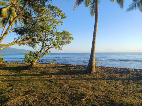 Afaahiti House | Hitira lodge presqu'île