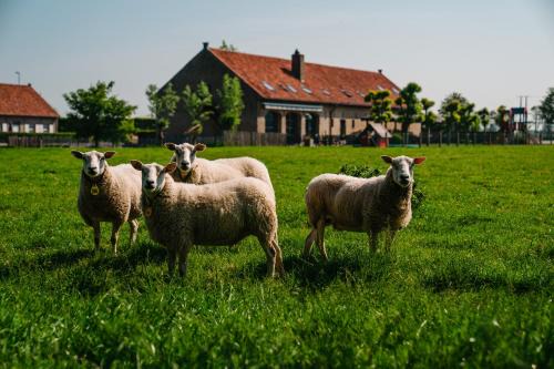 Gistel Hotel | hoevehotel ter haeghe