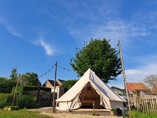 Staden Other | HogeScheure