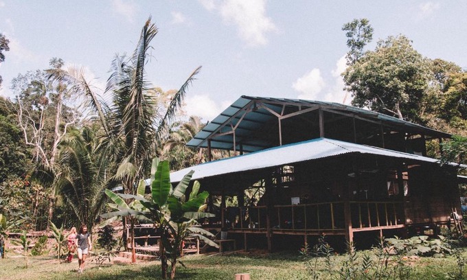 Tambopata Hotel | Hoja Nueva