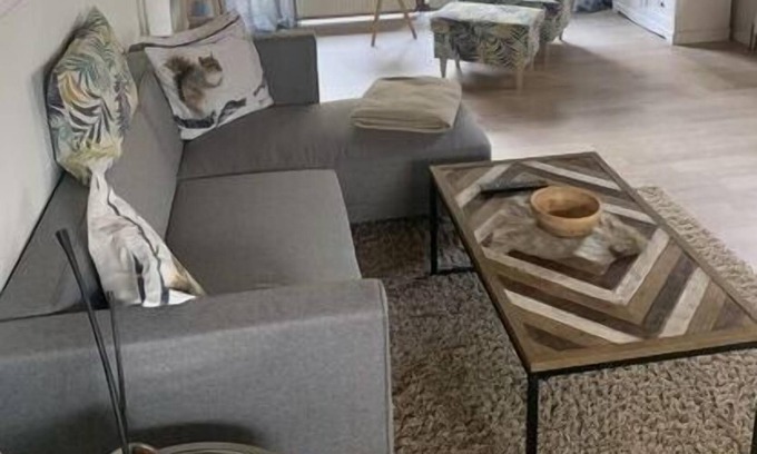 Leer Apartment | Holiday apartment Am Plyhtenberg