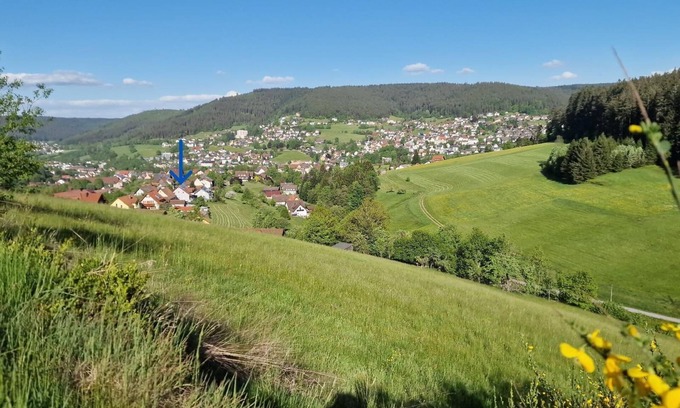 Baiersbronn Apartment | Holiday apartment Baiersbronn for 1 - 4 persons with 1 bedroom - Holiday apartment in one or multi-f