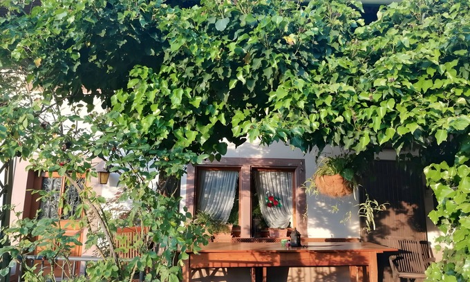 Schuttertal Apartment | Holiday Apartment Cherry Blossom