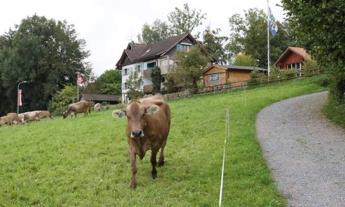 Egnach Apartment | Holiday apartment Neukirch for 1 - 3 persons with 1 bedroom - Holiday apartment