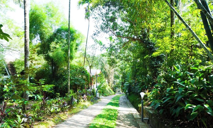 Vayittiri Hotel | Holiday Courtyard