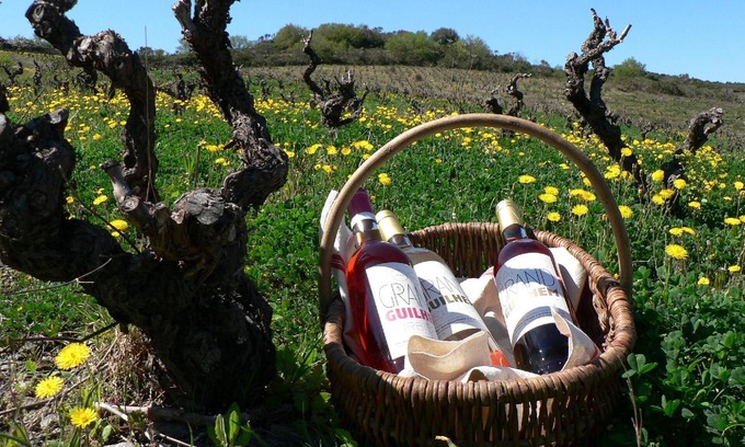 Cascastel-des-Corbieres Other | Holiday apartment Cascastel des Corbières for 4 - 6 persons with 2 bedrooms - Farmhouse