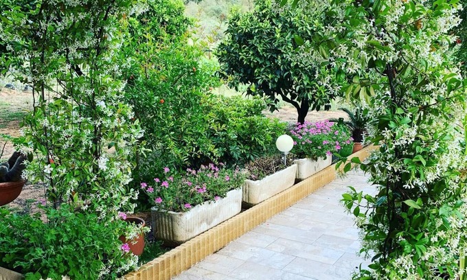 Domus de Maria House | Holiday Home 'Appartamento in Villa Gelsomino' with Mountain View, Garden, A/C & Wi-Fi