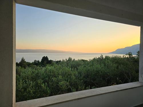 Brela House | Holiday Home Oliveta