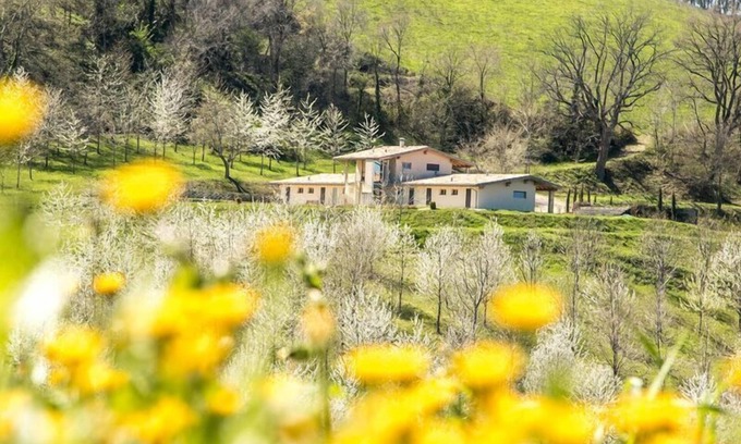 Falerone House | Holiday house Falerone for 1 - 19 persons with 7 bedrooms - Holiday home