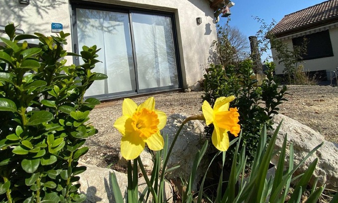Chouzy-sur-Cisse House | Holiday house Mesland for 1 - 4 persons with 1 bedroom - Holiday house
