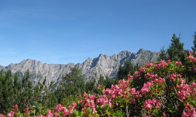 Maria Alm am Steinernen Meer Apartment | Holiday Nest Leitner Apartments in the Hochkönig Region