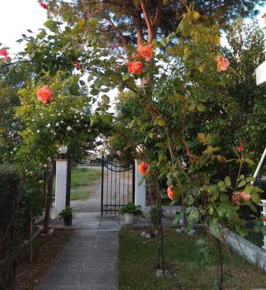 Kamena Vourla Apartment | Holidays apartment near the beach