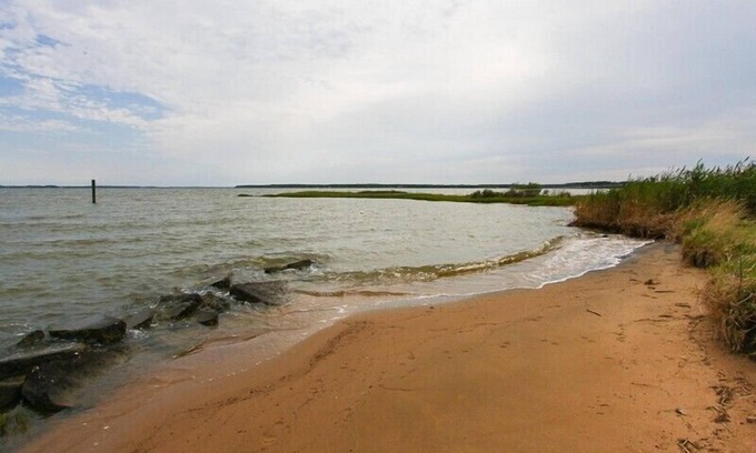 Taylors Island House | Holland Point Preserve - 200+ Acre Bayfront Estate of Water & Woods!