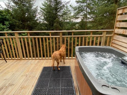 Cupar Apartment | Holly Berry Lodge with Hot Tub