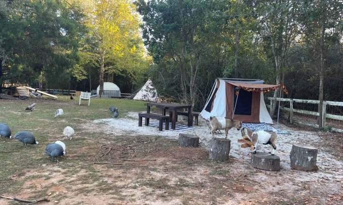 Tallahassee RV Rental | Holt’s Hideaway GLAMP Farmstay