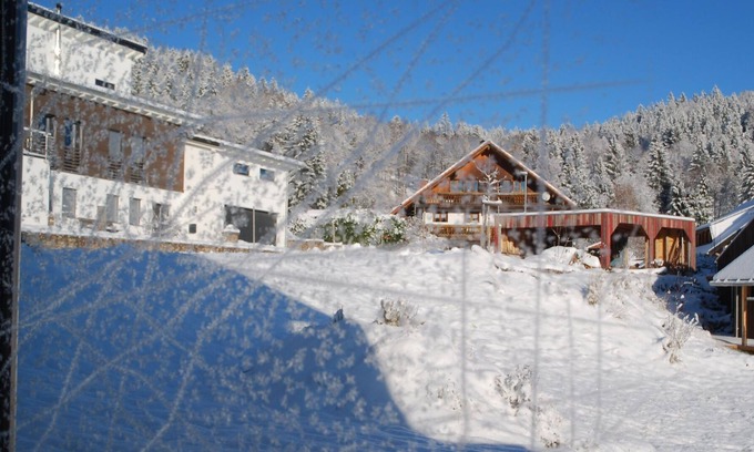 Wittenschwand Apartment | Hölzle on the Dachsberg - holiday apartment