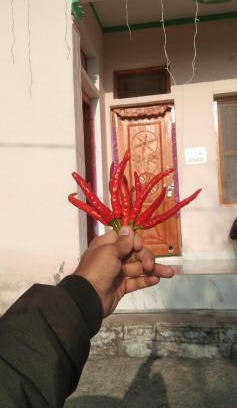 Tehri House | Home stay nagtibba road