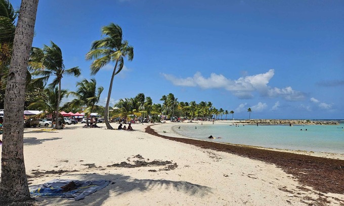 Mare Gailard House | Homerez - 3-bedroom House in Le Gosier