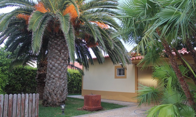 Campo de Baixo House | Homerez - House in Porto Santo
