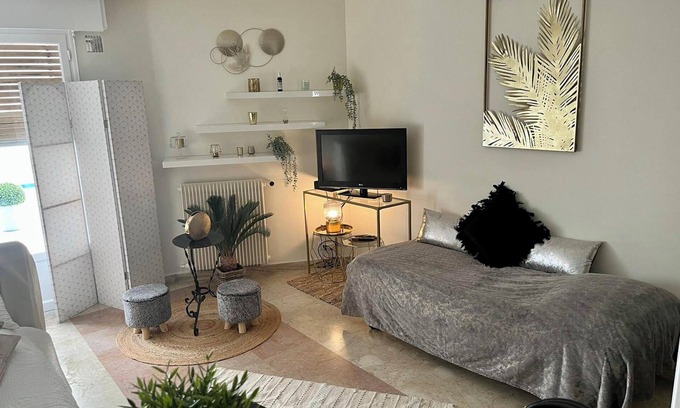 Cannes Apartment | Homerez - Studio centre Cannes