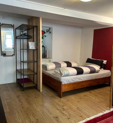 Waldshut-Tiengen Apartment | Homestay