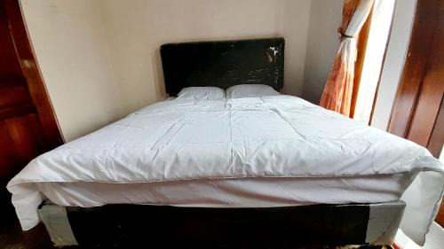 Dieng House | Homestay Merpati Dieng Syariah RedPartner