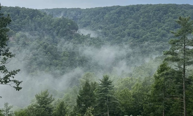Rogers Cabin | Honeydew Cabin - Romantic, Sauna, Views, Hot Tub