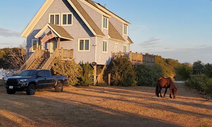 Carova Beach House | Horse Haven - Carova 4x4 Beach - Canal/Water Front - Pool & HotTub - Private Lot