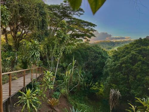 Glaura House | Hospedaria Freguesia de Santo Antônio
