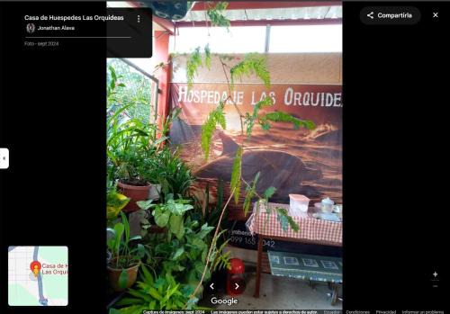 Tarapoa Apartment | Hostal las orquideas