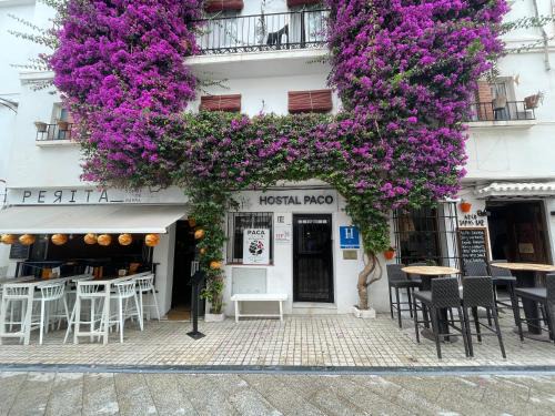 Marbella City Centre House | Hostal Paco Marbella