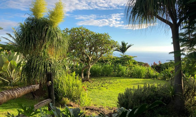 Kealakekua Hostel | Hostel ∙ 8 guests