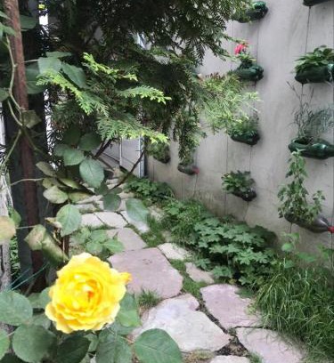 Sofia City Center Hostel | Hostel Pop Bogomil