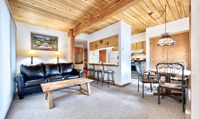 Crested Butte Condo | Hot Tub, Close Walk to the Slopes!