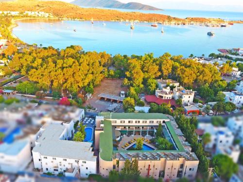 Bodrum City Center Hotel | Hotel Bleu Nuit