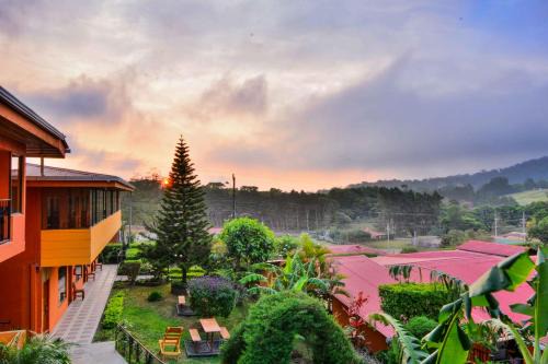 Monteverde Hotel | Hotel Cipreses