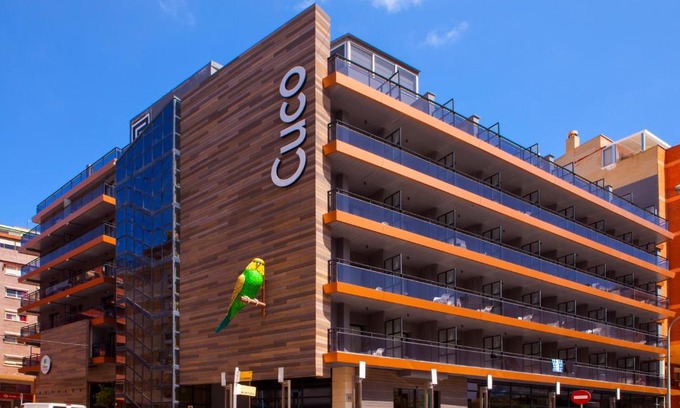 Benidorm Centro Hotel | Hotel Cuco