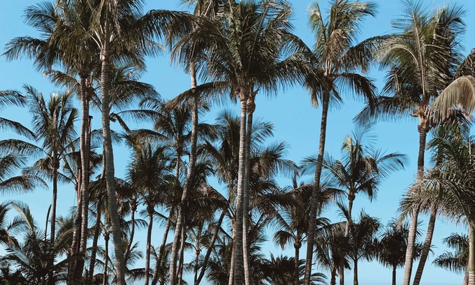 Puerto del Carmen Hotel | Hotel Fariones