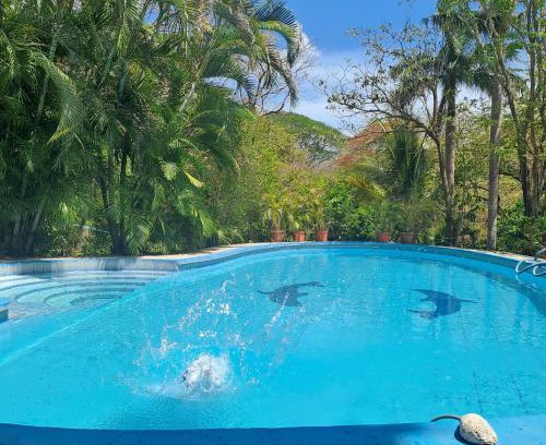 Junquillal Hotel | Hotel Georgi, Guanacaste CR