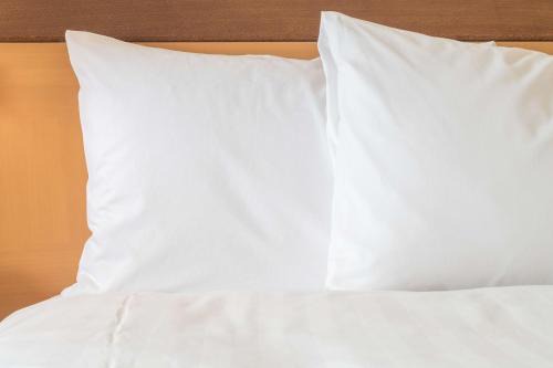 Central Business District Hotel | Hotel Indigo New Orleans - French Quarter by IHG