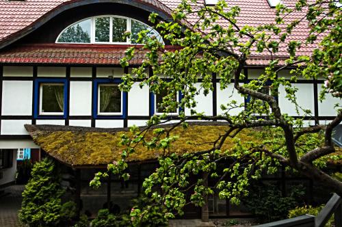 Nida Hotel | Hotel Jelita