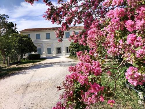 Le Soler Hotel | HOTEL LE FLOREAL