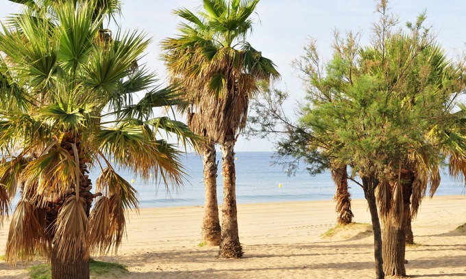 Frejus Port Hotel | Hotel Méditerranée by Miléade
